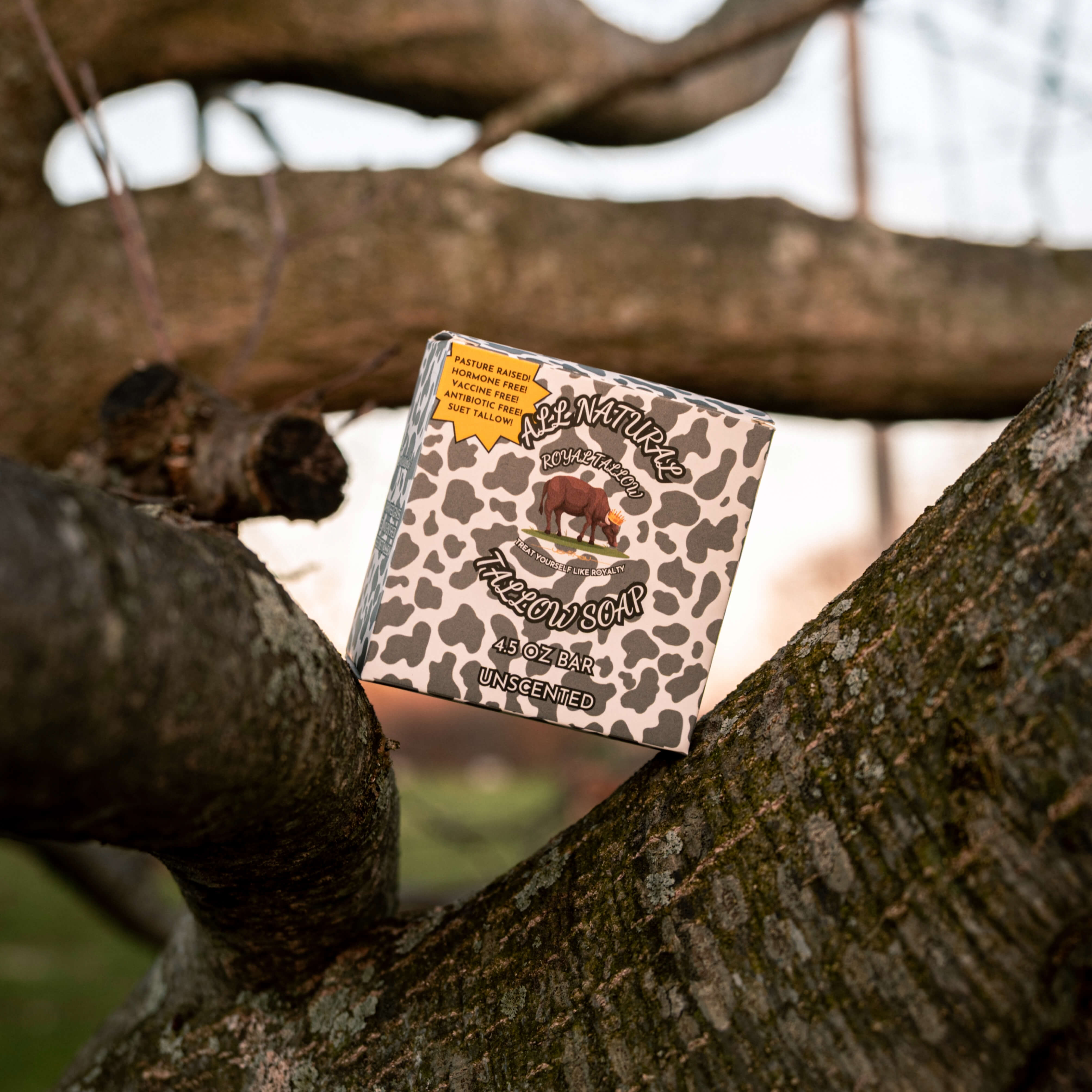 *New* Throne-Tallow Soap